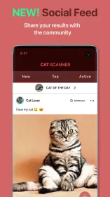 Cat Scanner
