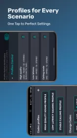 Bluetooth Codec Changer