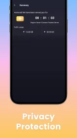3X VPN