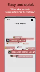 Cat Scanner