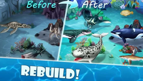 Shark Mania