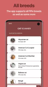 Cat Scanner
