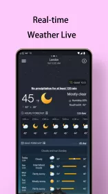 Local Weather Forecast