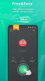 Tomato VPN