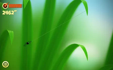 Spider Trouble