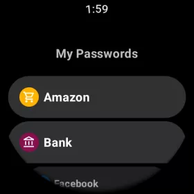 My Passwords Manager