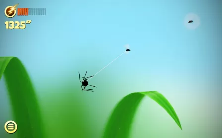 Spider Trouble