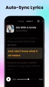 Offline Music Player