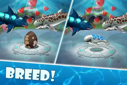 Shark Mania