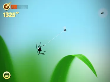 Spider Trouble