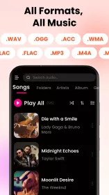 Offline Music Player