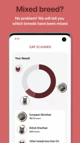 Cat Scanner