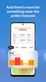 Yandex Weather
