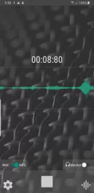 WaveEditor