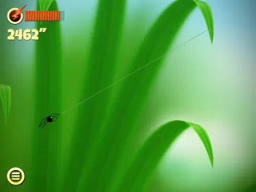 Spider Trouble