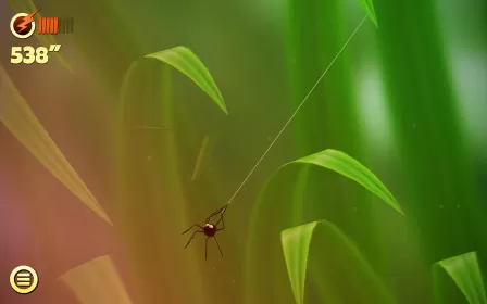 Spider Trouble