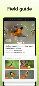 Picture Bird