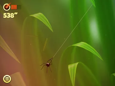 Spider Trouble